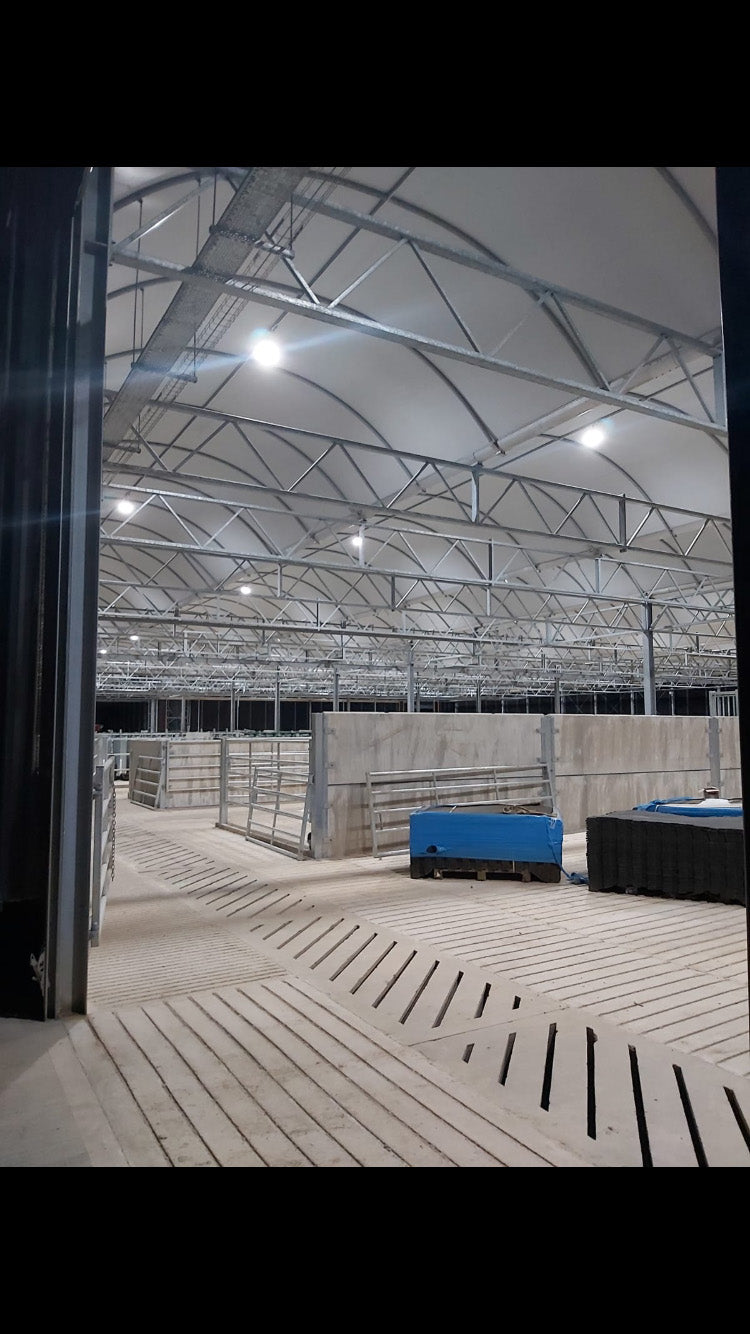 Luxum Halo Dairy 200W with integrated red night light